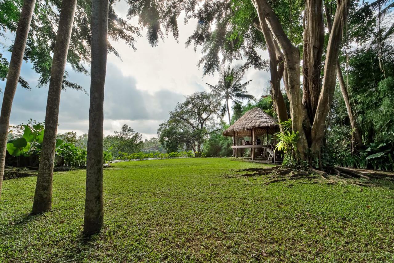 Kamaniiya River Sayan - Villa Ubud (Bali)