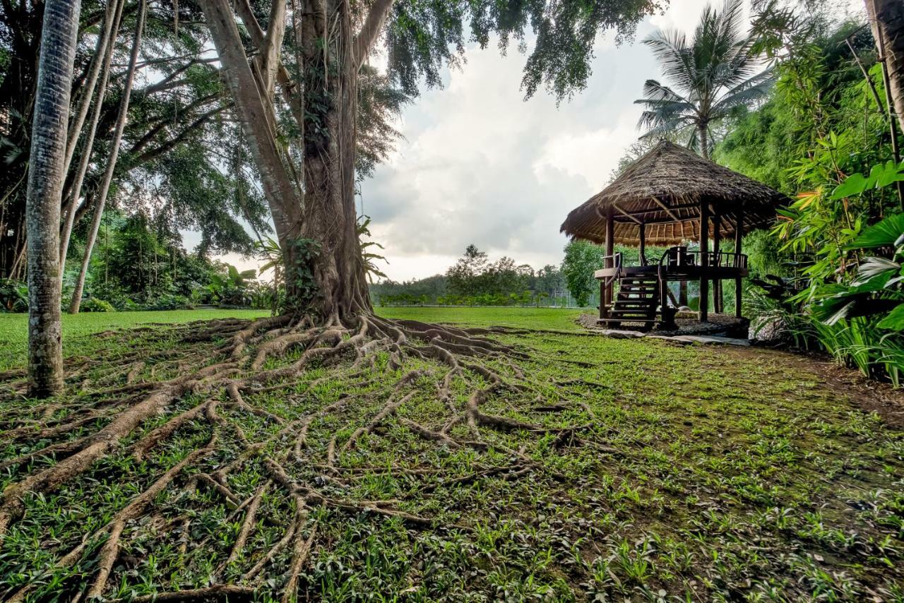 Kamaniiya River Sayan - Villa Ubud (Bali)