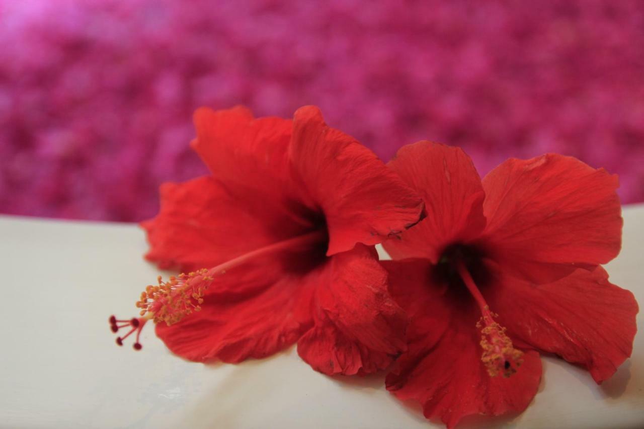 Resort Kokonut Seminyak Dalung (Bali)