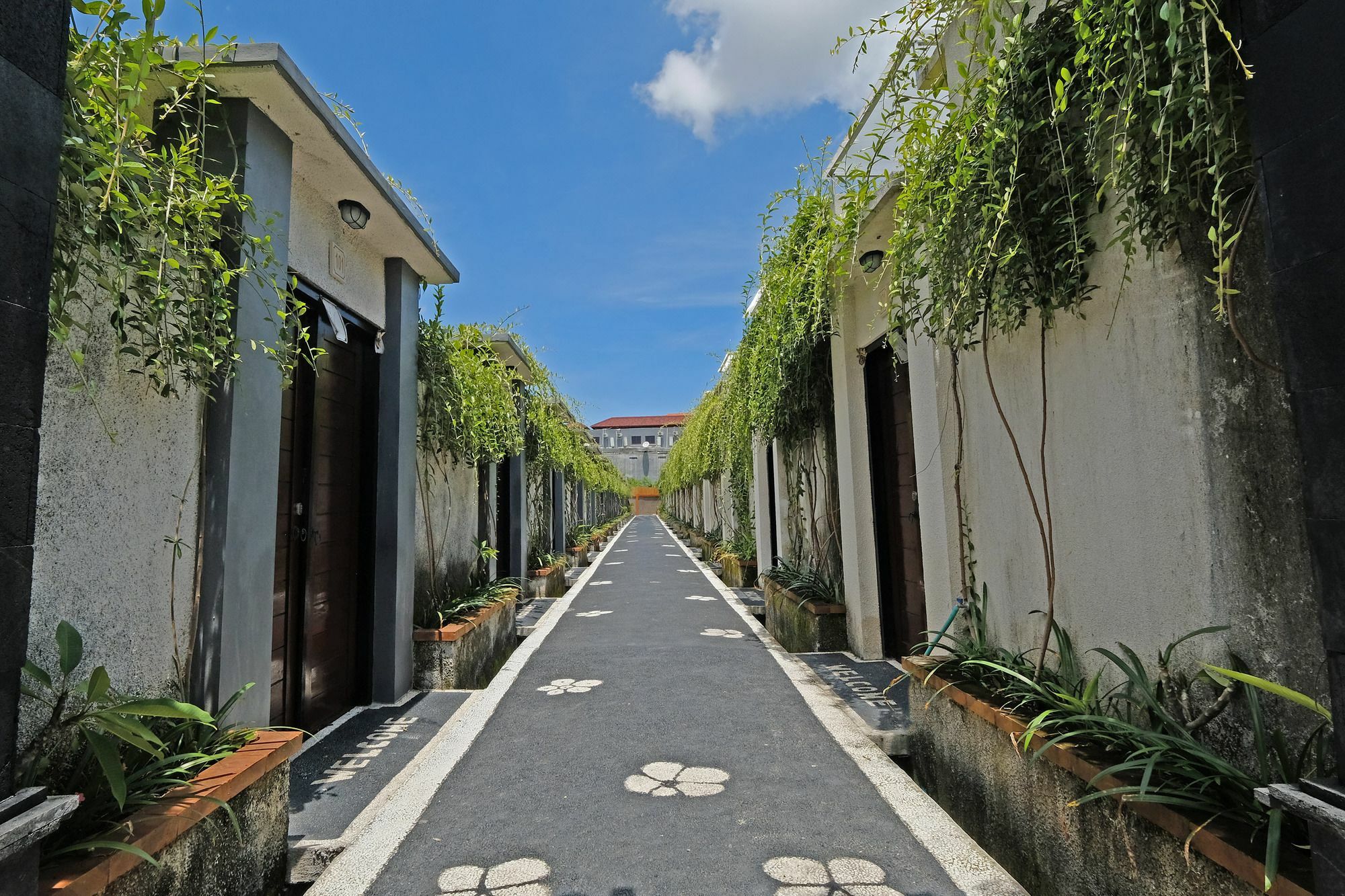 The Yogasari 3*