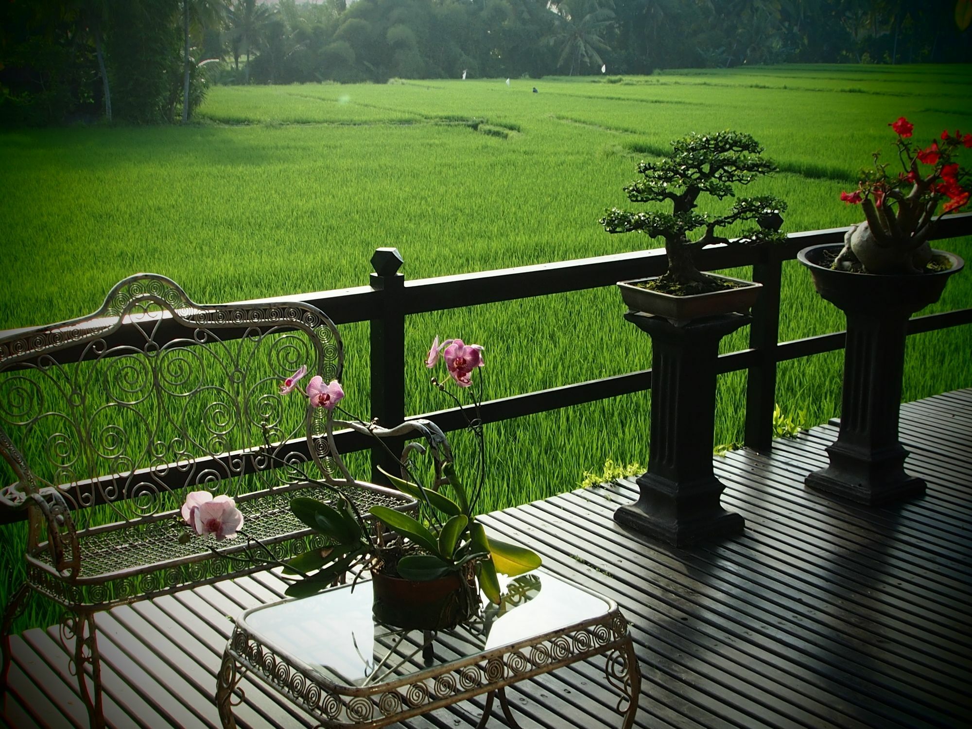 Holiday park Lodtunduh Sari 4*