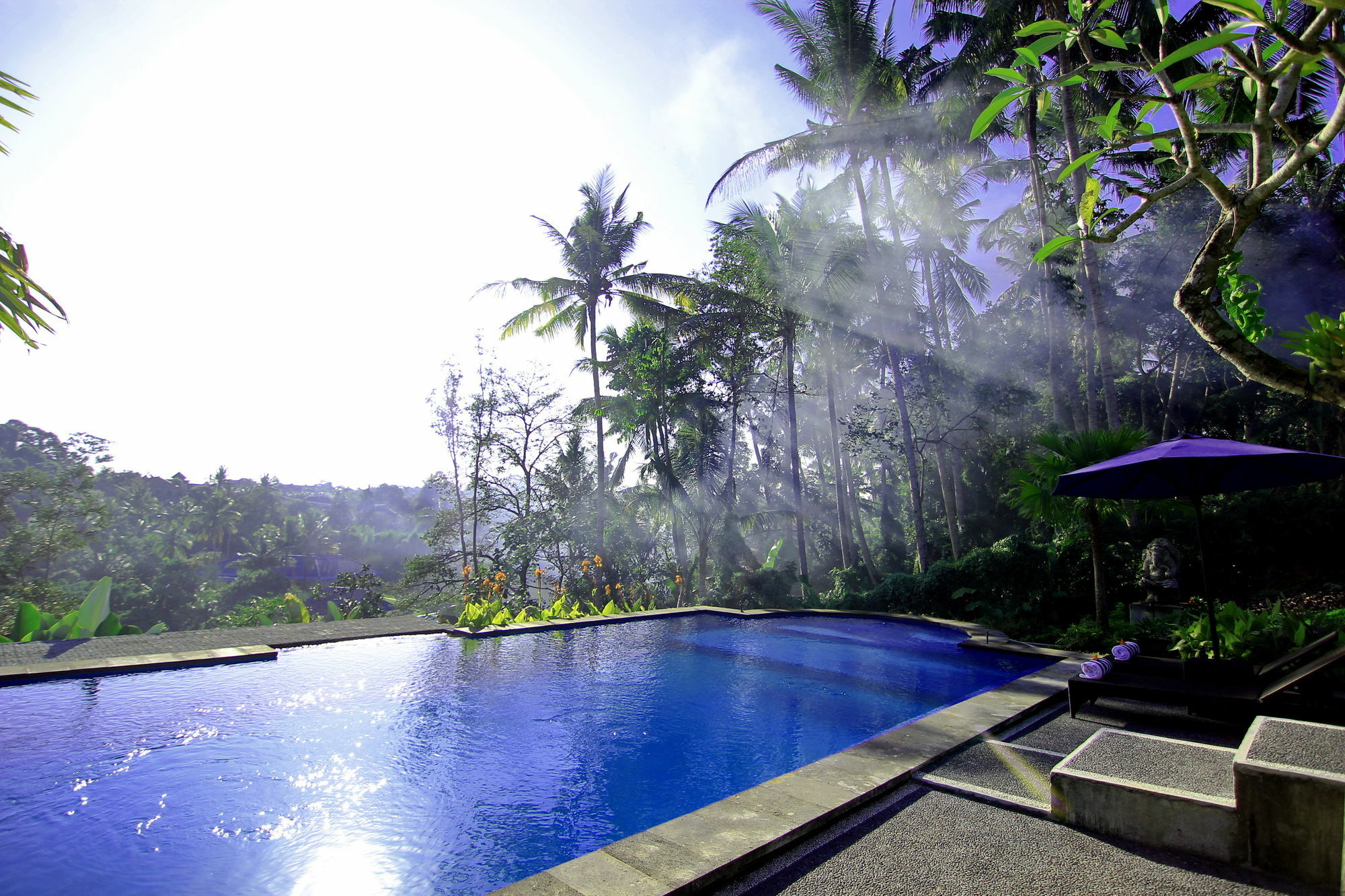 Capung Mas