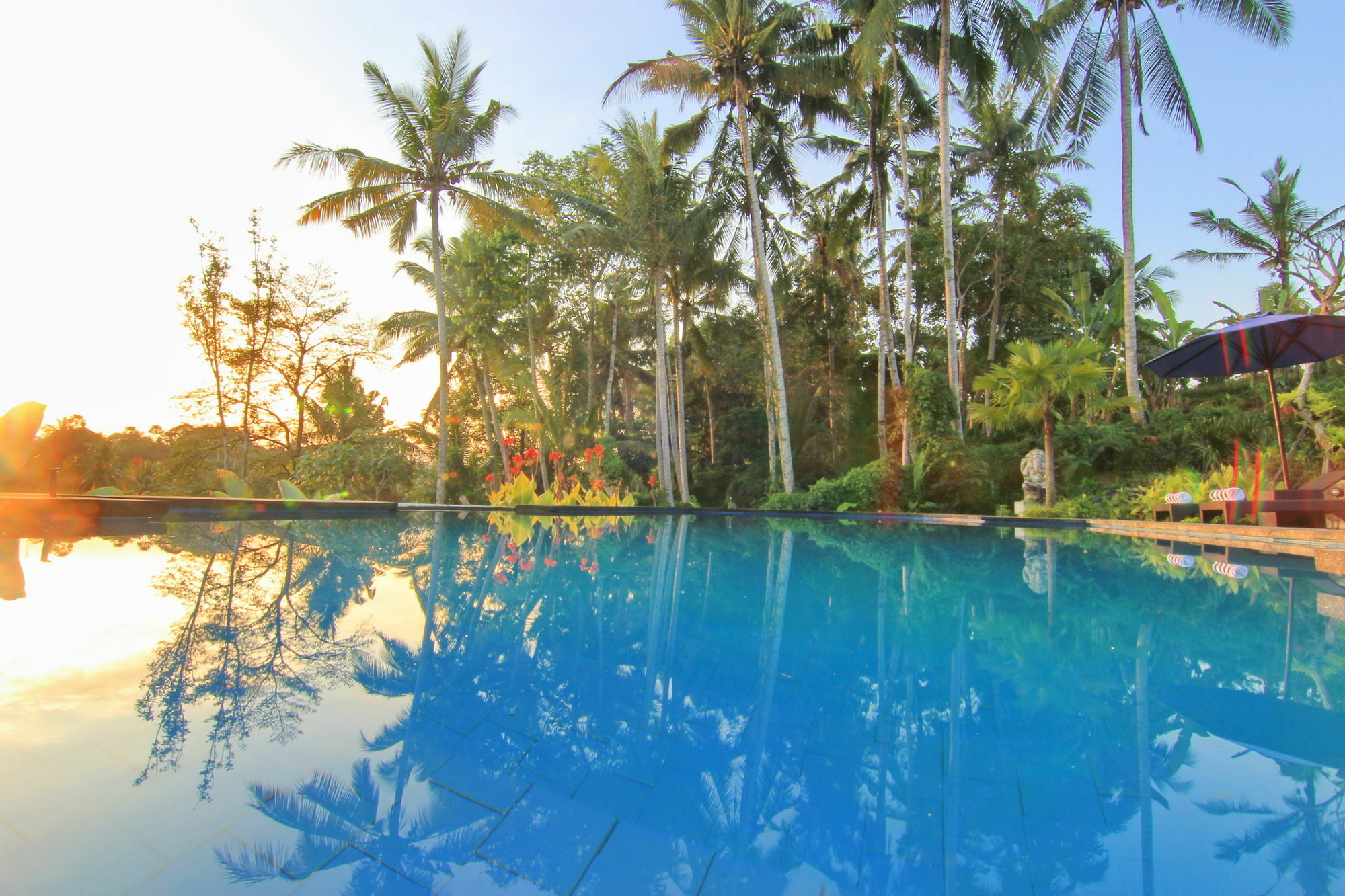 Capung Mas Ubud (Bali)