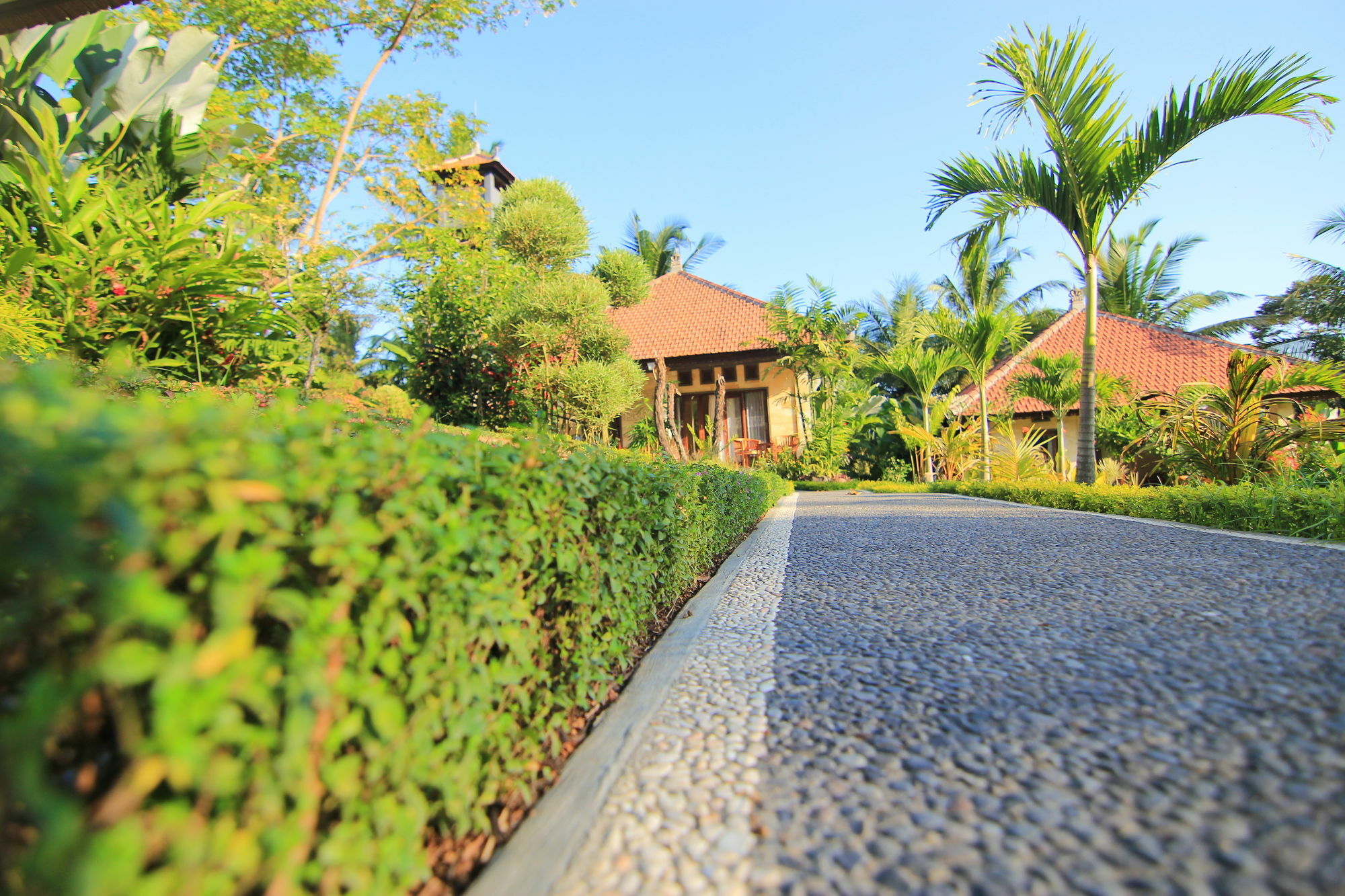 Capung Mas * Ubud (Bali)