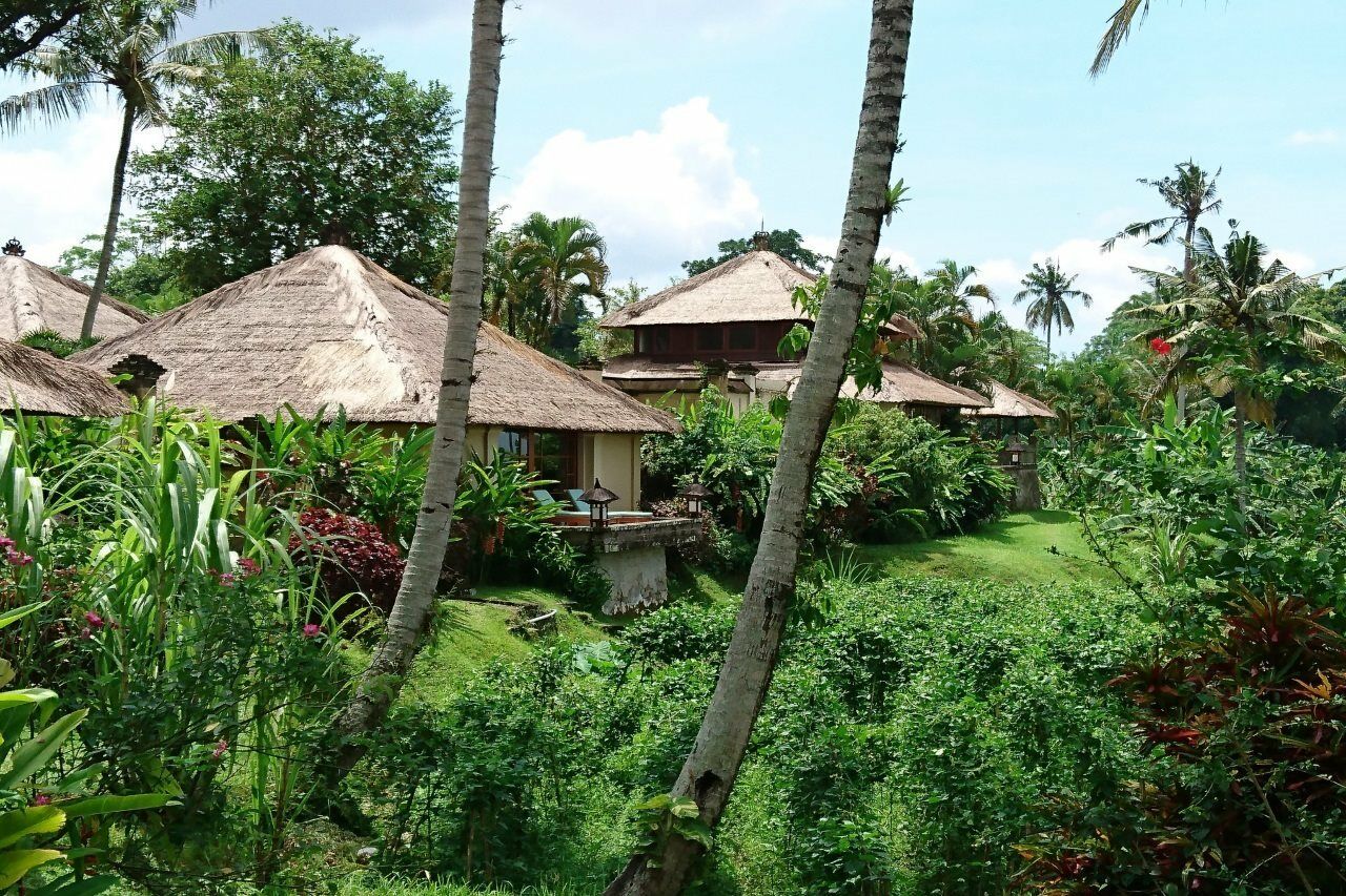 Amandari
