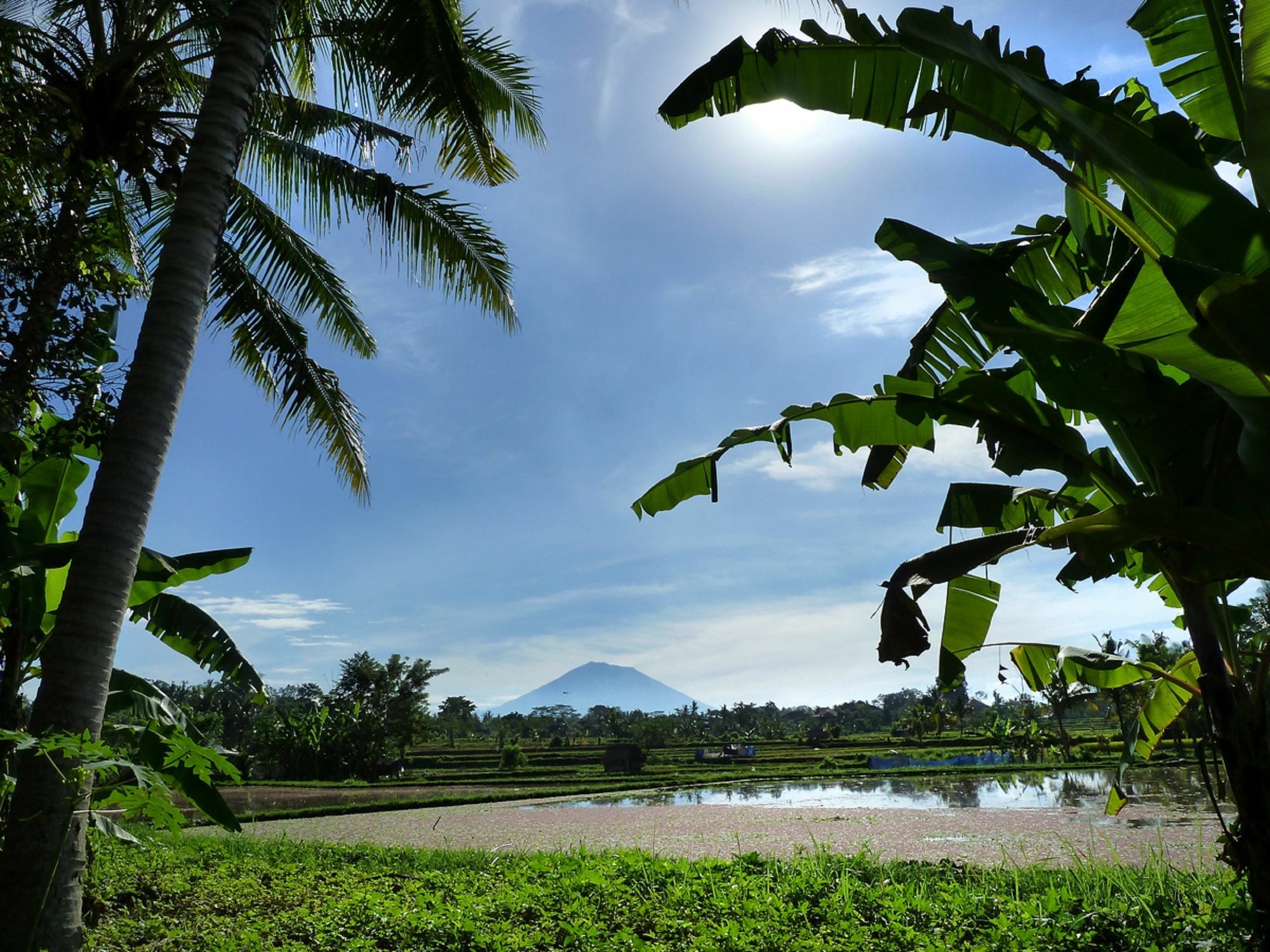 Villa Temuku Ubud (Bali)