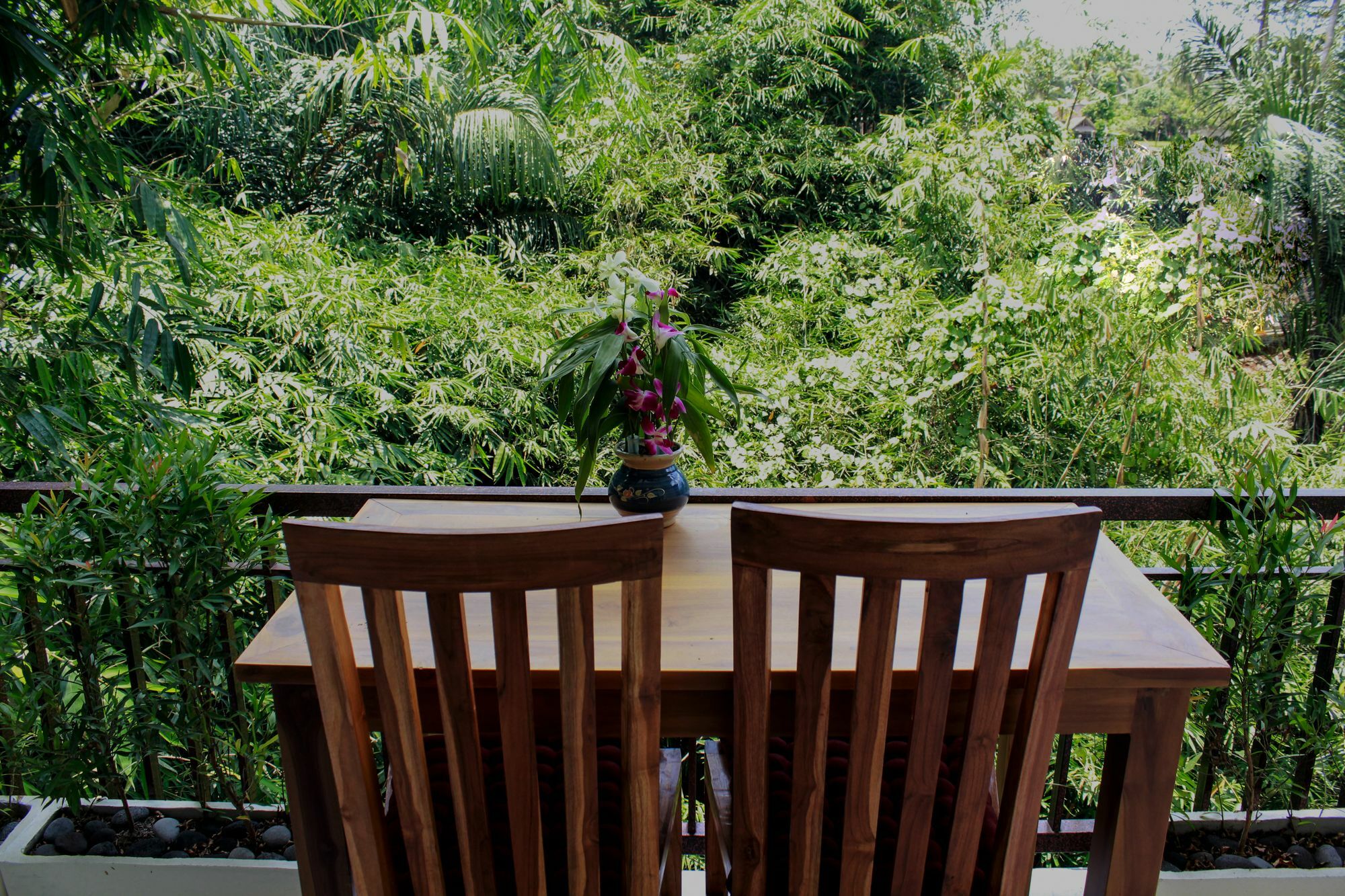 Manwarsa Homestay Ubud (Bali)
