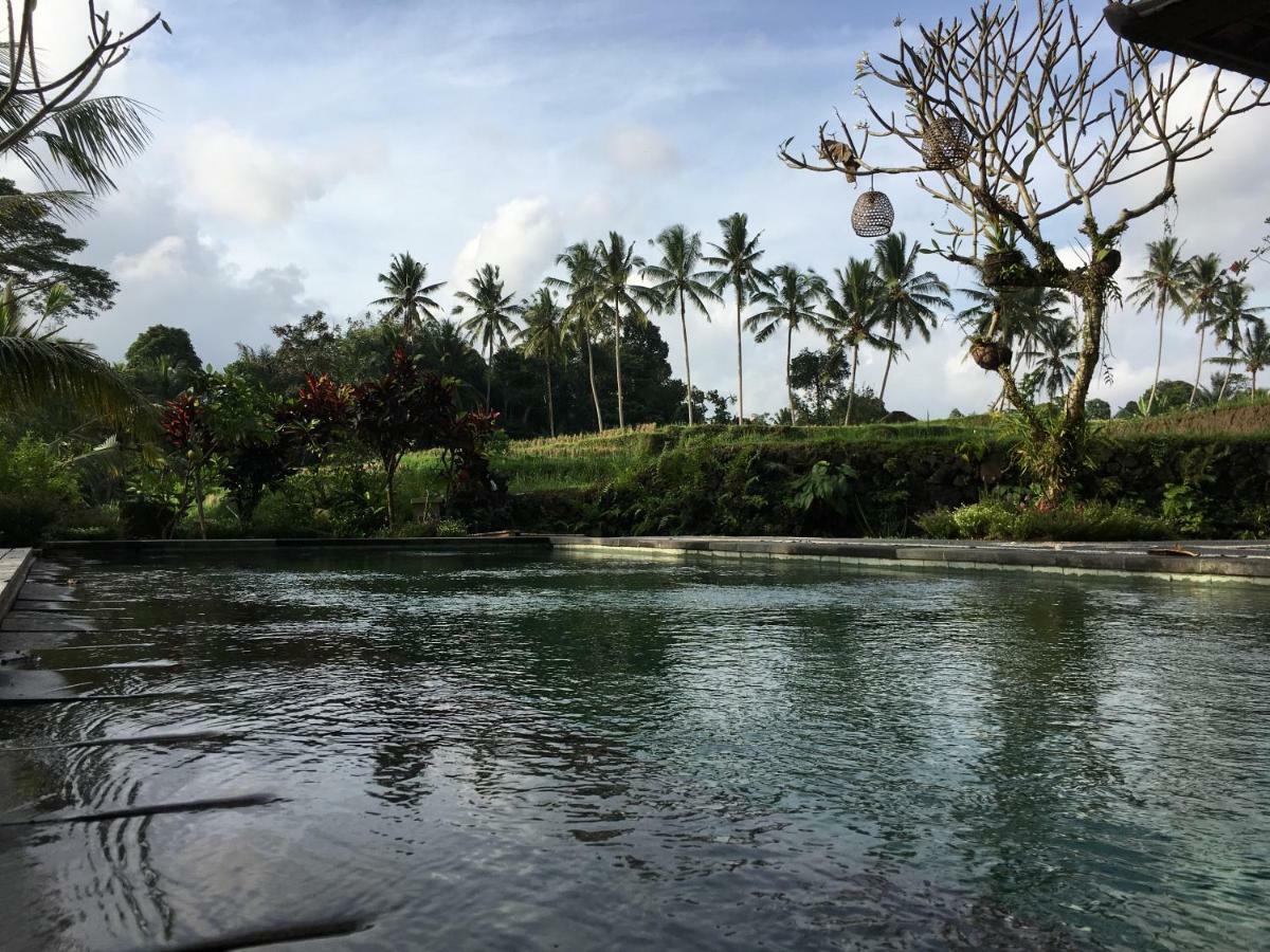 Puri Raya Villa Ubud (Bali)