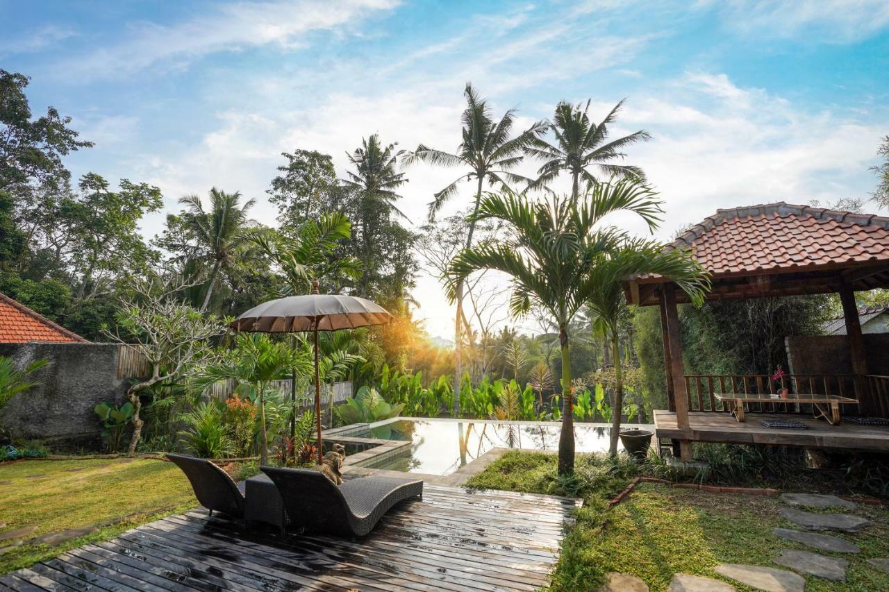 Villa Sunny Sun Private
