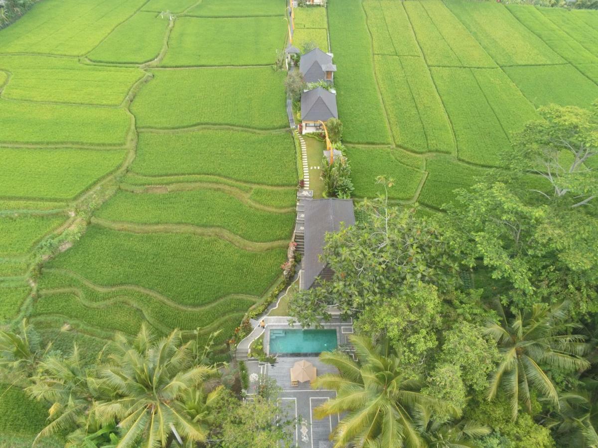 Puri Raya Villa Ubud (Bali)