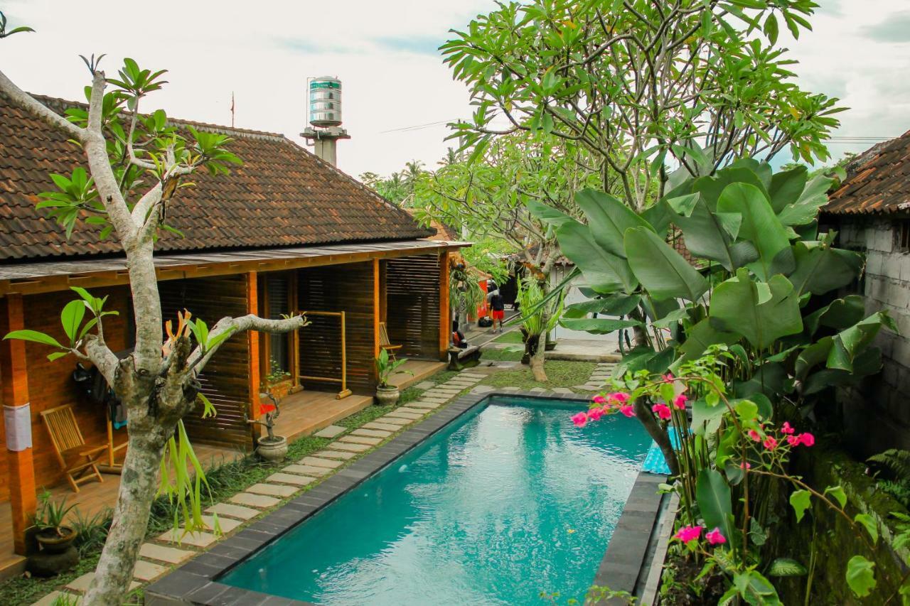 Dedeane Wisma tamu 3*