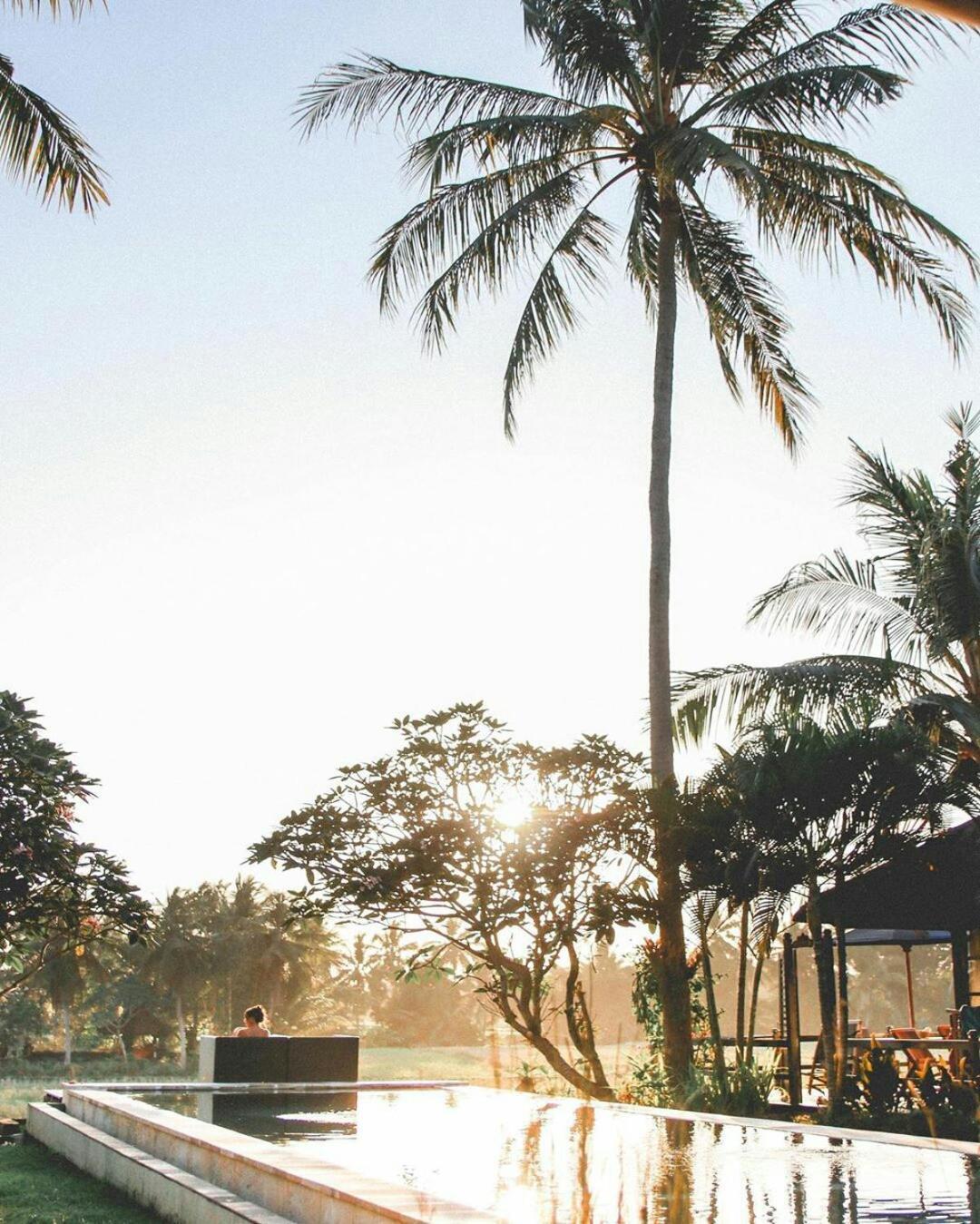 Holiday park Lodtunduh Sari