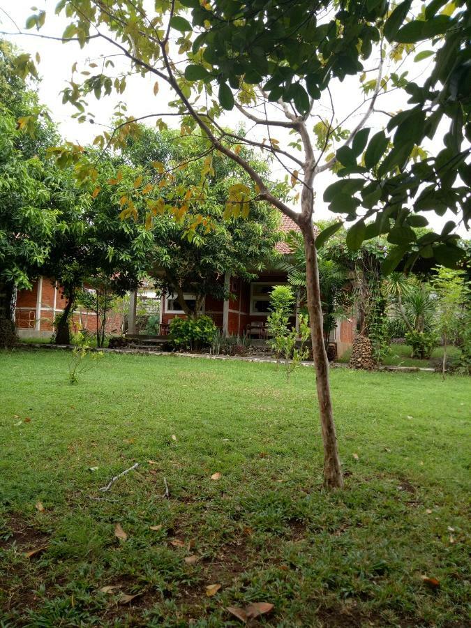 Homestay Medori Putih
