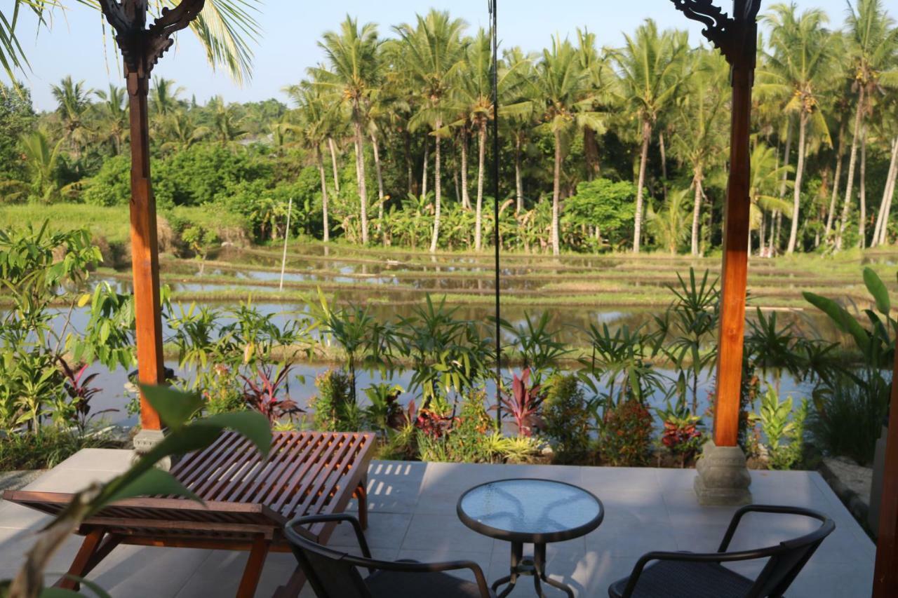 Guest house Mancur 2*