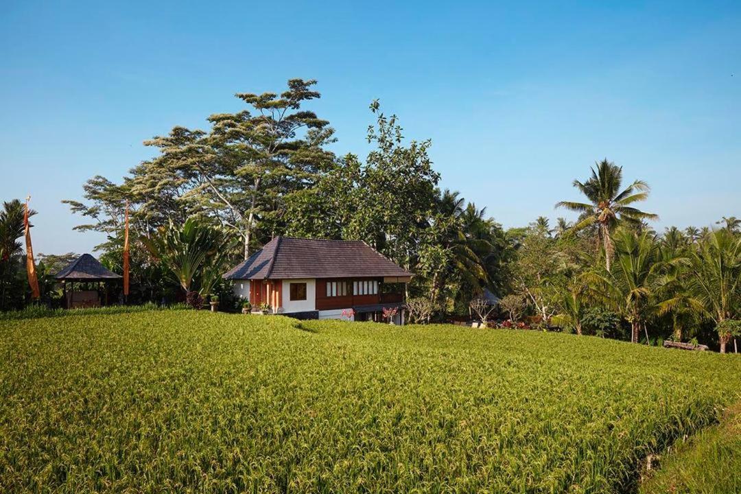 Villa Puri Raya Ubud (Bali)