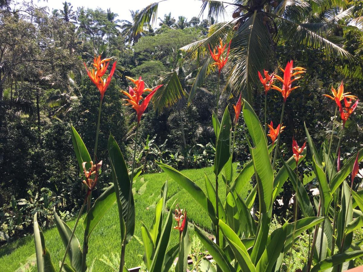 Villa Puri Raya
