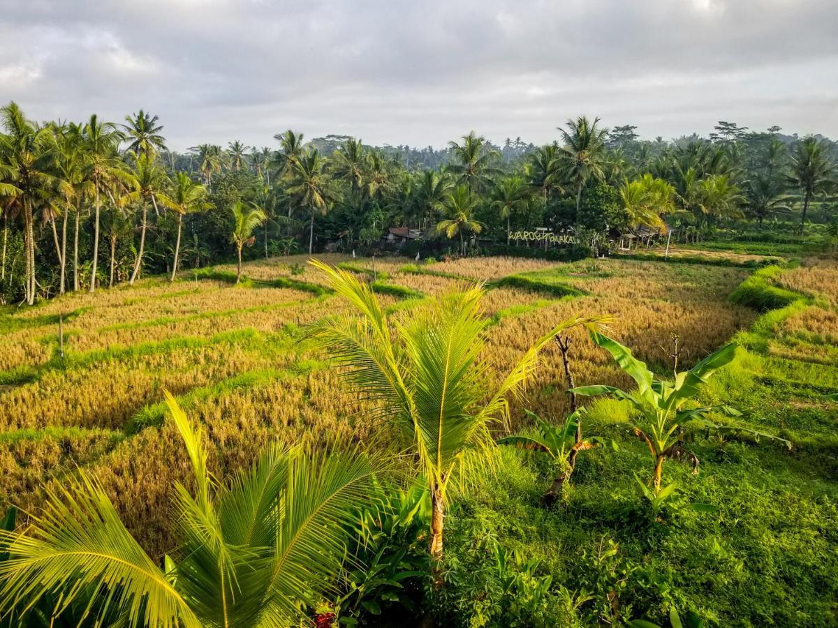 Guest house Mancur Ubud (Bali)