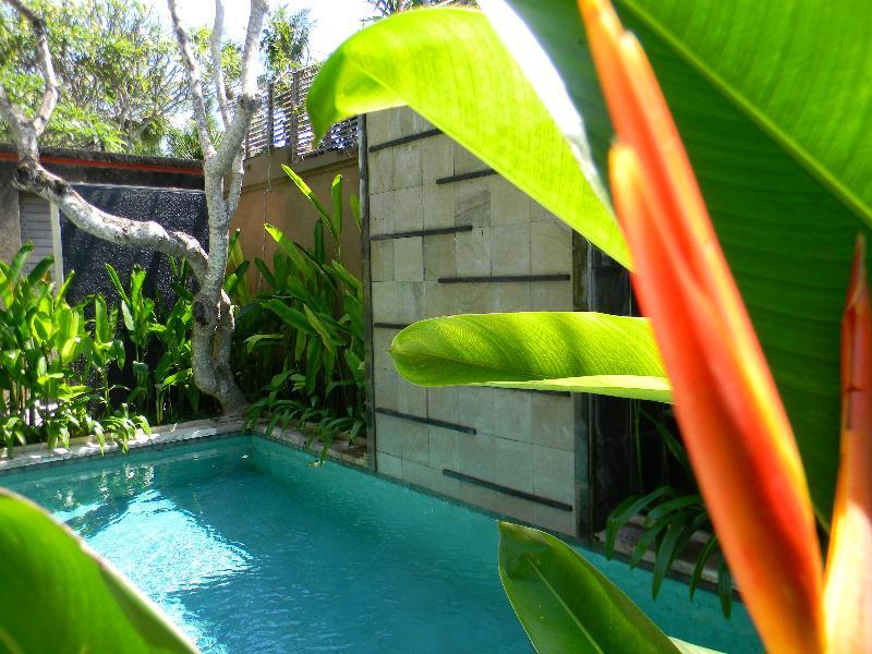 Ahimsa Villa