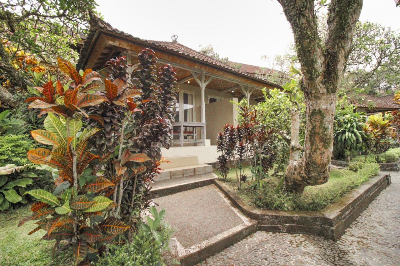 Guest house Taman Indrakila Ubud (Bali)