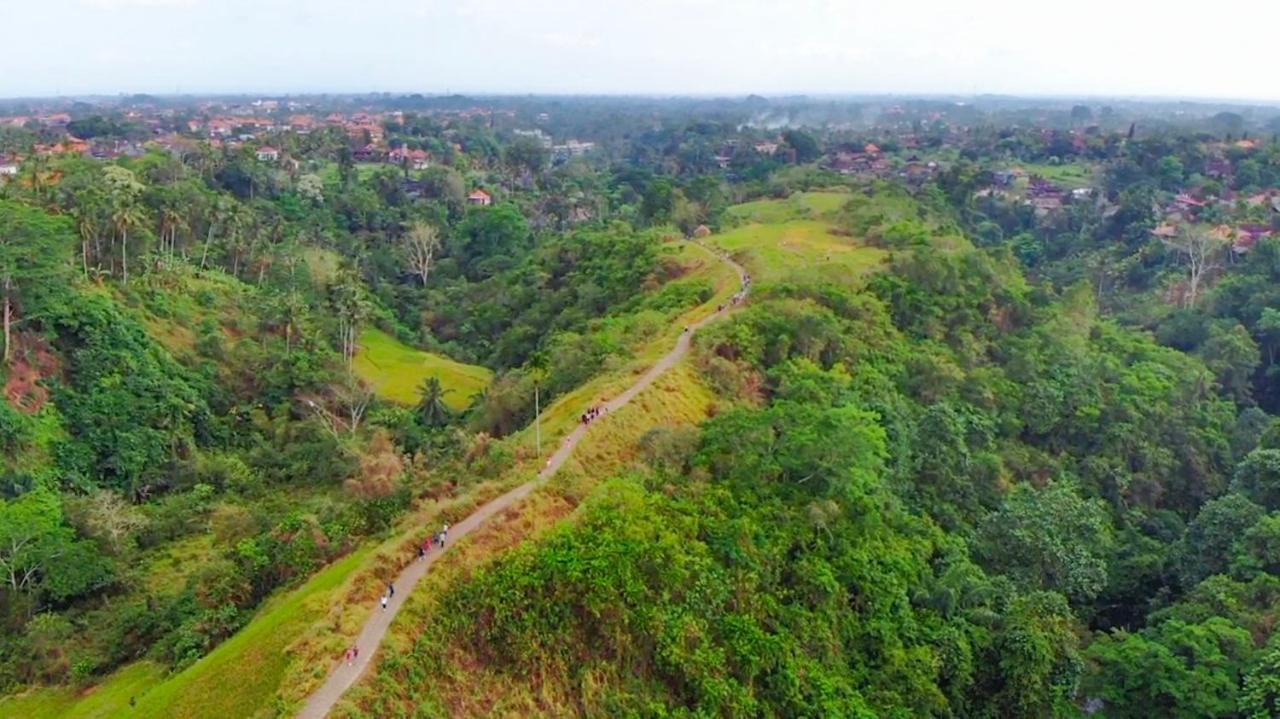 Taman Indrakila Guest house 3*