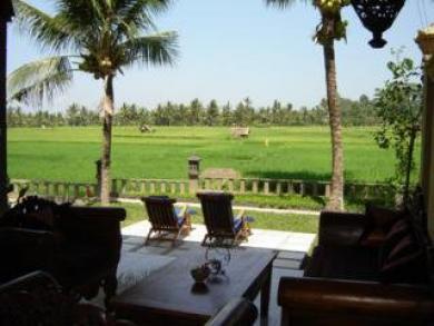 Field And Hotel Ubud (Bali)