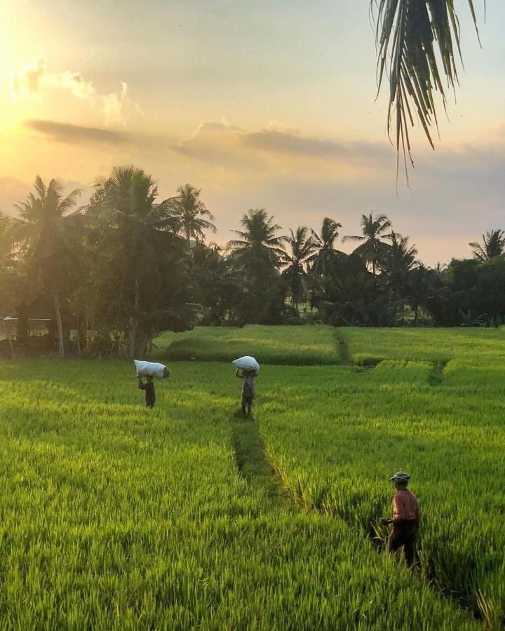 Holiday park Lodtunduh Sari Ubud (Bali)