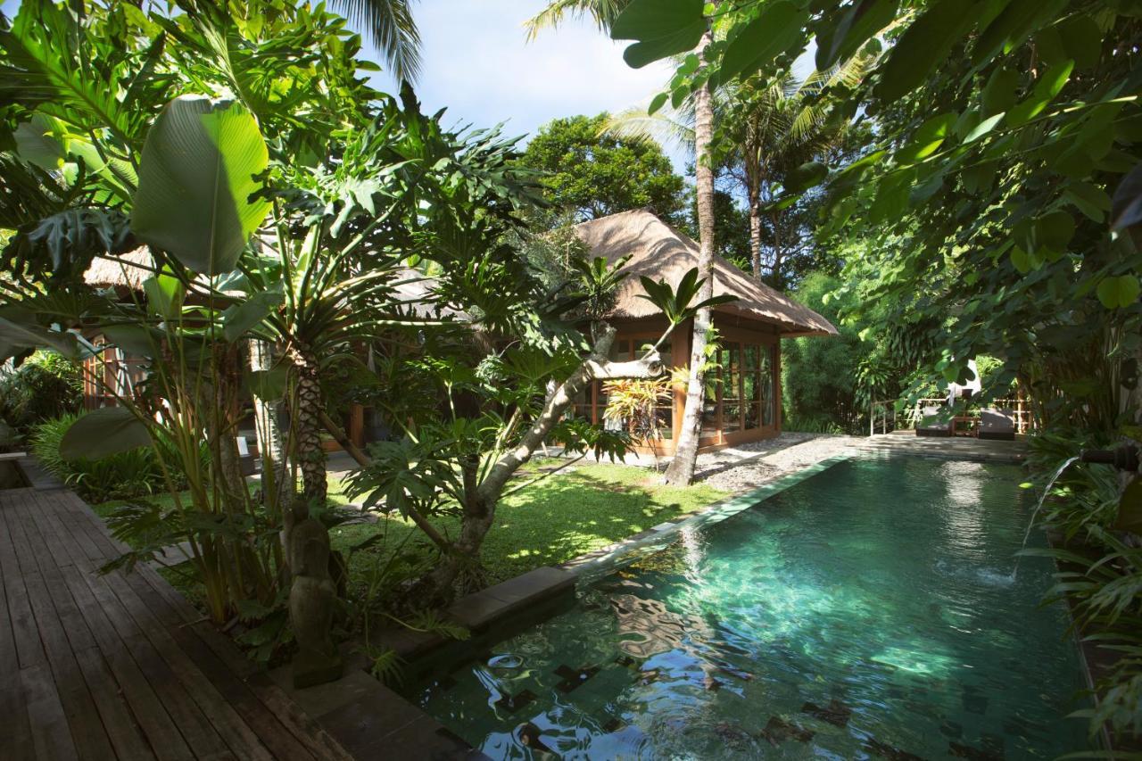 Luwak Villa