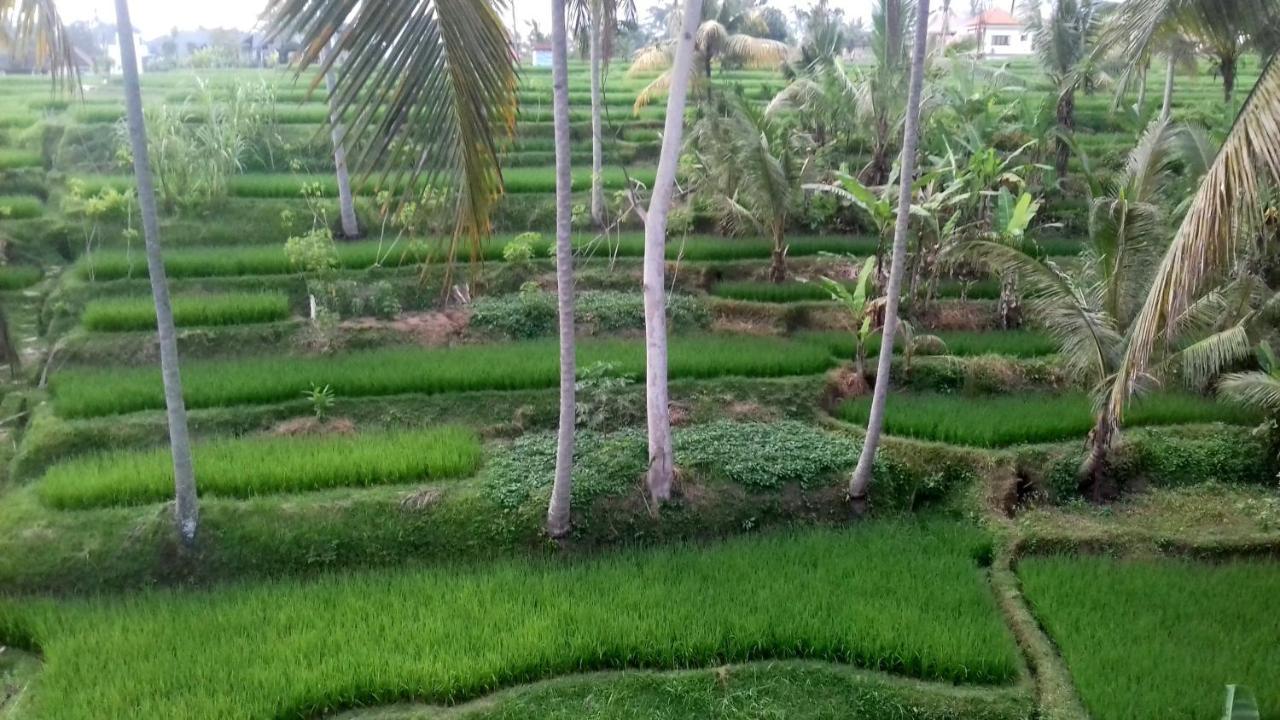 Junjungan Holiday park Ubud (Bali)