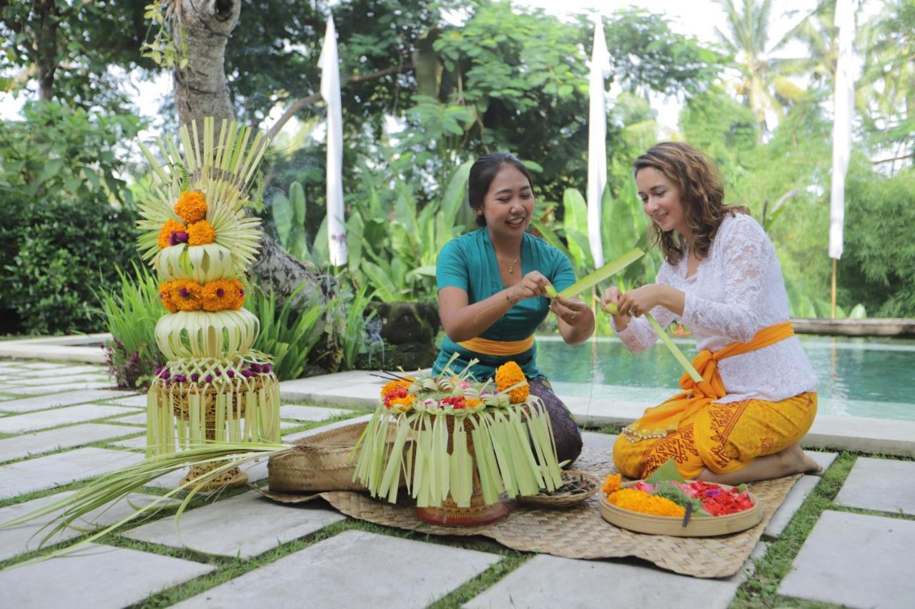 Villa Luwak *