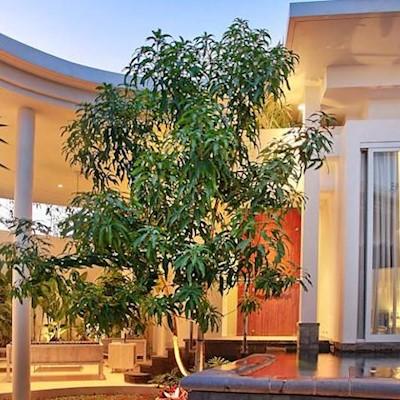 Villa Taman Mesari Luxury Villas-seminyak Kuta (Bali)
