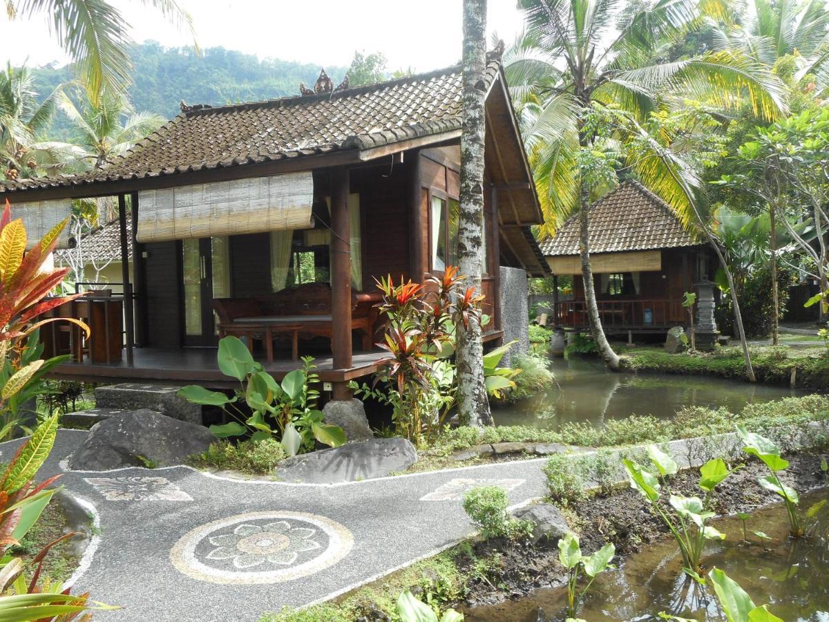 Guest house Tepi Sungai Sidemen (Bali)