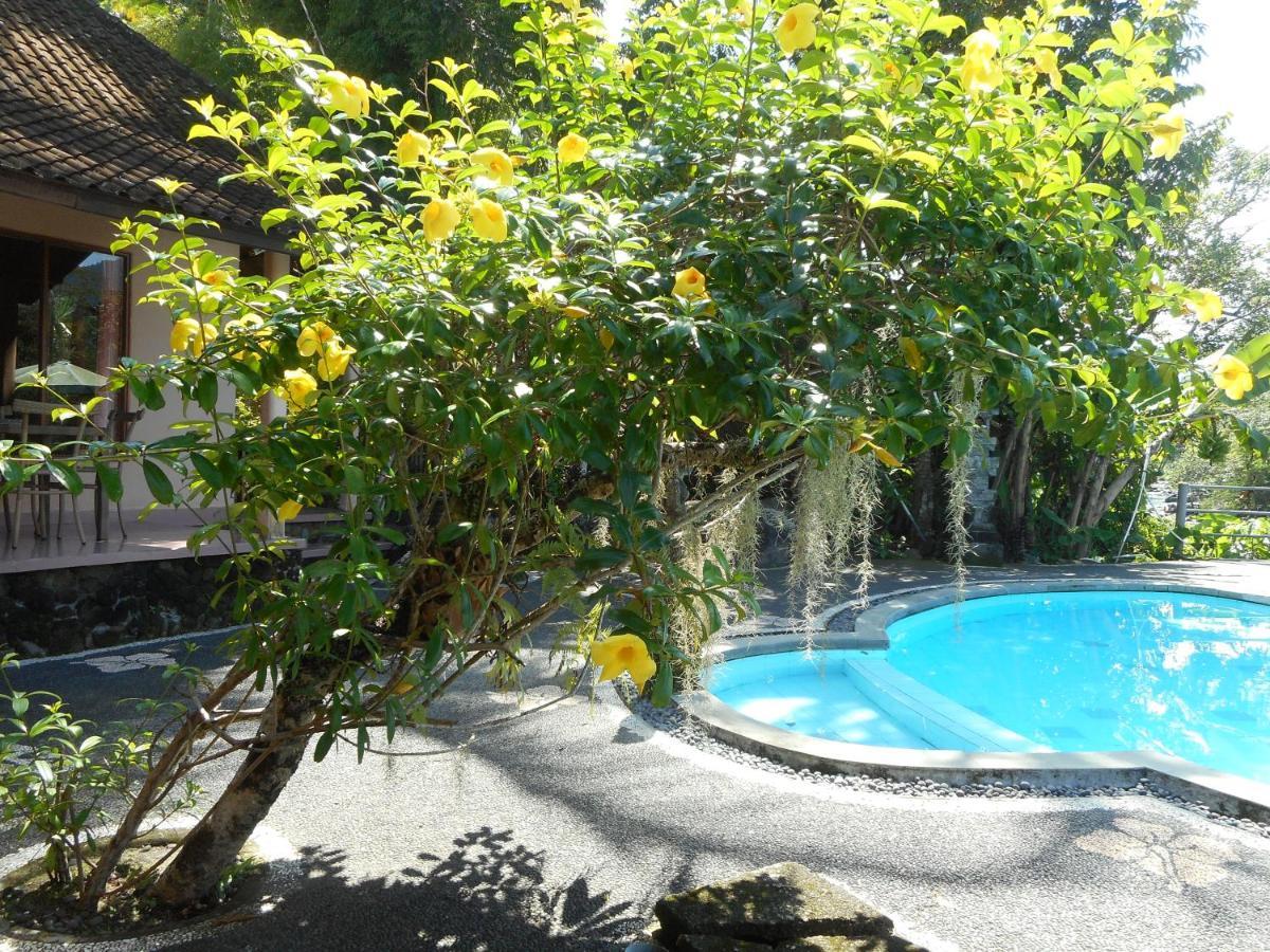 Guest house Tepi Sungai 3*