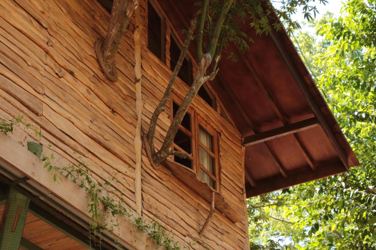 Roots Tree House Lodge *