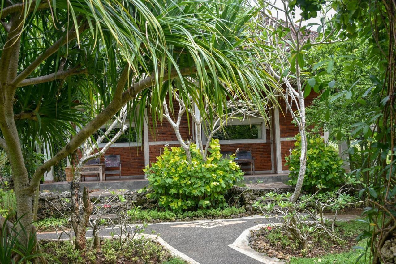 Medori Putih * Uluwatu (Bali)