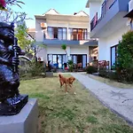 Bali Yogi