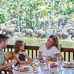 Mason Elephant Lodge