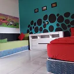 Dragonfly Hostel And Homestay