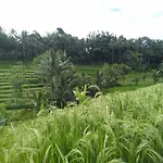 D\'Ume Bendoel Homestay