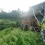 D\'Ume Bendoel Homestay