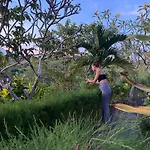 The Pancor Jungle Resort
