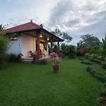 Cabe Bali