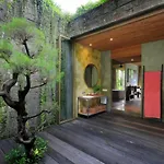 Chameleon Villa Bali