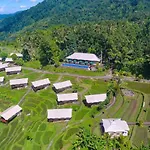 Kaura Bali