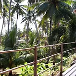 Tentacle Bali