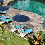 Bali Palms