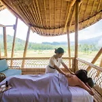 Nyan - Bamboo House