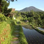 Padi Bali Jatiluwih