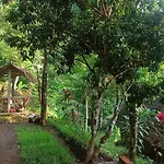Buda\'S Homestay Lemukih