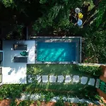 The Damai