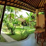 1000 Dream Bungalow